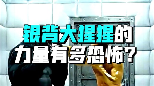 假如人类对战银背大猩猩，会发生什么？