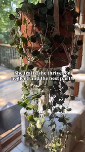 78K views · 1.1K reactions | Share this with your favorite plant...