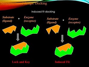 Computer Aided Molecular design