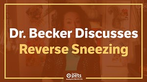 106K views · 185 reactions | Does your dog sometimes make loud...