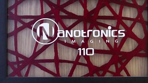 Nanotronics - An Overview in 30 seconds