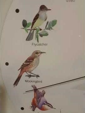 My Bird clock from 2000. Details in description.