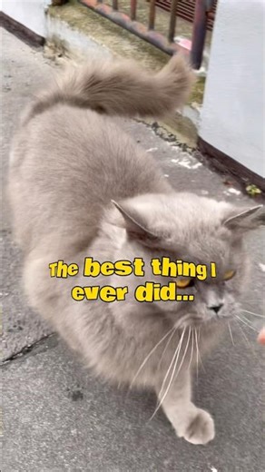 THE BEST THING I EVER DID!