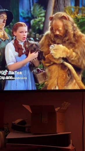 paw 🥺 #ShortnSweet #toto | wizard of oz dark secrets