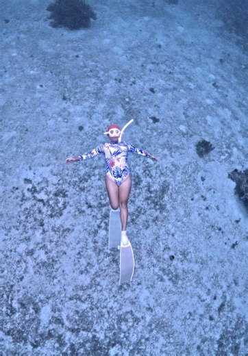 Pammy, owning her awra beneath Panglao’s crystal-clear waters. Gliding with confidence, moving deeper than ever before—calm, graceful, and fully in her element. The ocean heals the parts of us we never knew were broken. 👉 Ready to find your own calm beneath the surface? Join our Panglao freediving adventure and glide with us. 💙 #PanglaoFreedivingAdventures #FreedivingBohol #BoholVacation #whattodoinbohol #Freediving