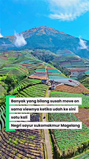 Info trip dan dokumentasi drone bisa kring kita yah !! #SukomakmurMagelang #tripmagelang #jawatengah #OpenTripMagelang #sukomakmur Inbok atau wa 087762161581