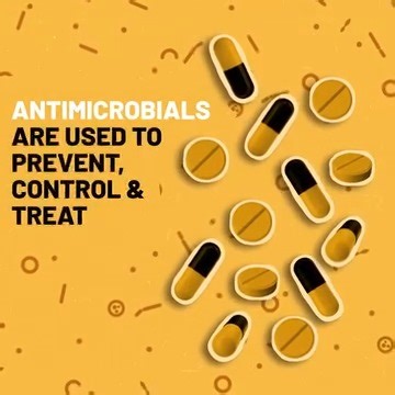 What is #AntimicrobialResistance? AMR occurs when bacteria, viruses 🦠, fungi 🍄 and parasites 🐛 change over time and no longer respond to medicines. It makes infections harder or sometimes impossible to treat, increasing the risk of diseases spreading, severe illness and death. #WorldAMRAwarenessWeek | World Health Organization Western Pacific Region