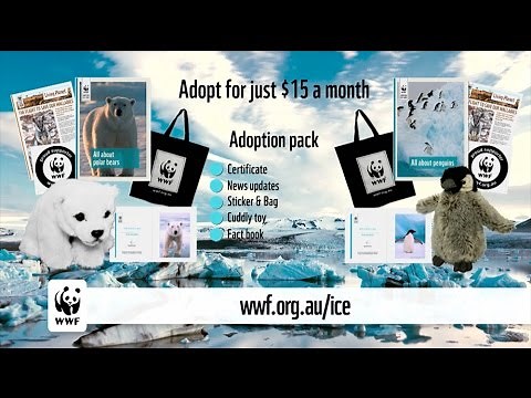 Adopt a penguin or a polar bear - WWF-Australia