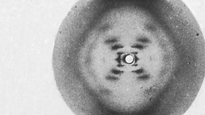 Anatomy of Photo 51 — NOVA | PBS