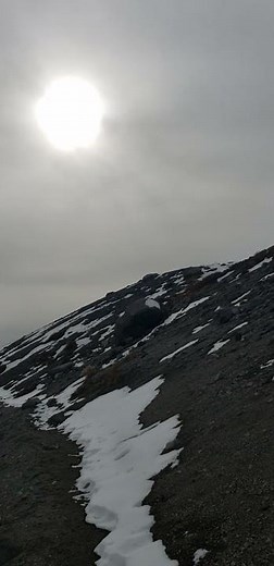 Clouded sun over Mt. Hood
