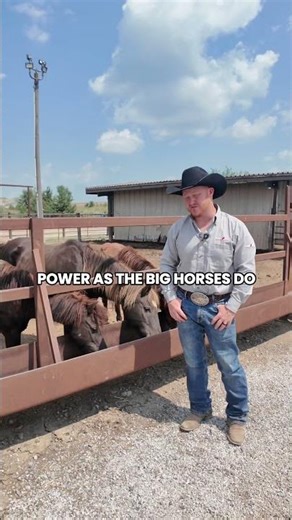 Why Kids Should Start with Pony Bronc Riding