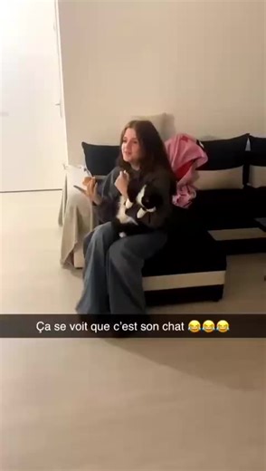 Animaux Rigolos et Vidéos Drôles