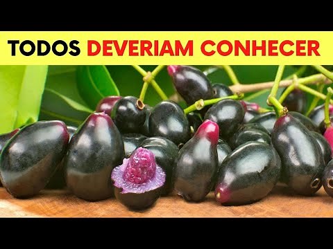 Você Não Imagina que 1 JAMELÃO/JAMBOLÃO Possa Fazer Tudo Isso! (Como Usar Chá e Fruta e Benefícios
