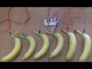 Playing piano with bananas - A Makey Makey project