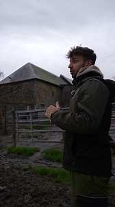 🎥 Comment reconnaître une vache en chaleur ? À la ferme, savoir repérer une vache en chaleur est essentiel pour bien gérer le troupeau. Baptiste vous explique les signes à observer : comportements inhabituels, agitation, montes entre vaches, changements d’attitude… rien n’est laissé au hasard. Derrière chaque geste, il y a de l’observation, de l’expérience et beaucoup de temps passé avec les animaux 🐄 Un savoir-faire discret mais indispensable au quotidien de l’éleveur ! | La Ferme du Hameau G