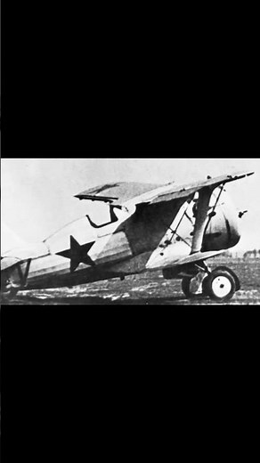 The I-153: The Soviet Fighter That Couldn’t Stop Spinning… to Its Doom!