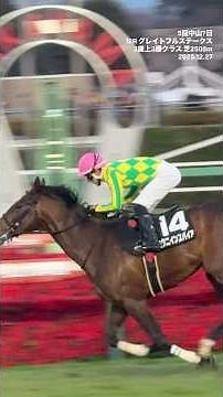 Yuji Tanuchi, jockey, 95th win, Mikuni Inspire, 5th Nakayama, 7th, 12th race, Grateful Stakes, 25...