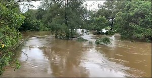 MODERATE FLOOD ON ORARA RIVER - NBN News