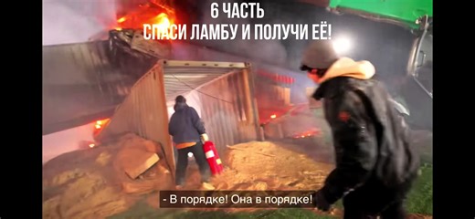 Спаси ламбу, и получи её! #рекомендации #mrbeast | mrbeast