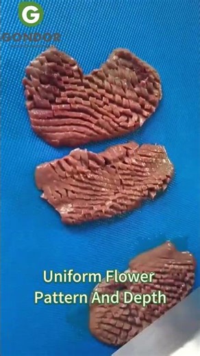 Industrial Squid Cutting & Processing Machine – High-Volume Automation for Seafood!🦑🔪#squid #seafood