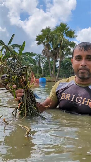 Lobster farming management. #fishing #myfarminglife