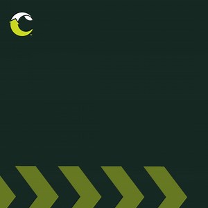 🌽 Dealing with high pH soils? We have corn hybrids designed to thrive in soils with pH levels above 7.6, helping reduce iron deficiency and boost yields. Contact your Channel SeedPro for the best options for your field! 🌱 #ChannelSeed #CornProduction #SoilHealth Learn more: http://spr.ly/6185QDAmf | Channel Seed