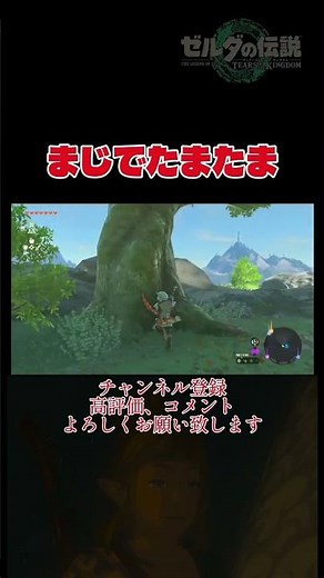 コログちゃん #ゼル伝 #ゼルダの伝説 #ゼルダの伝説ティアーズオブザキングダム #ティアキン