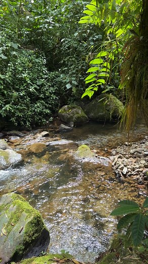 The beauty of Boquete a day of clean waterfalls | Lin Sutherland