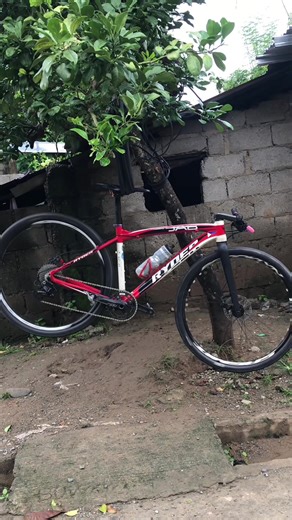 Stunning Mountain Bike Montage: Epic Rides and Edits