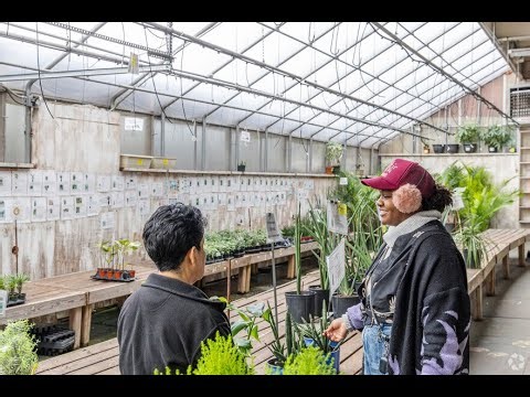 Living in Canarsie, NY: The Ultimate Local Guide | Homes.com