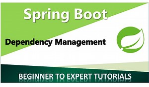 Spring Boot - Dependency Management - Learn Spring Boot