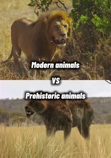 Should I Change the Name from Prehistoric to Extinct? | Animal Debates