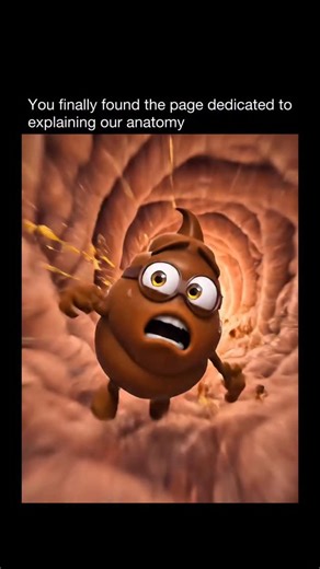 Explaining Our Anatomy | Your stool can reveal a lot about digestion. The Bristol Stool Chart classifies poop into seven types: hard pellets (constipation), lumpy... | Instagram