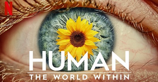 Human: The World Within (trailer)