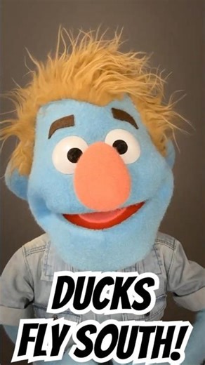 ‘Ducks Fly South!’ - Puppet Video by Lee Thompson #puppets #funny #joke #puppetry #puppeteer
