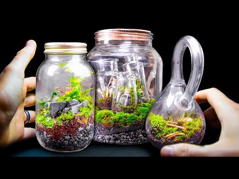 Epic Terrarium Art - Build Compilation