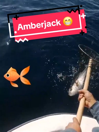 Fishing for Amberjack: A Memorable Catch