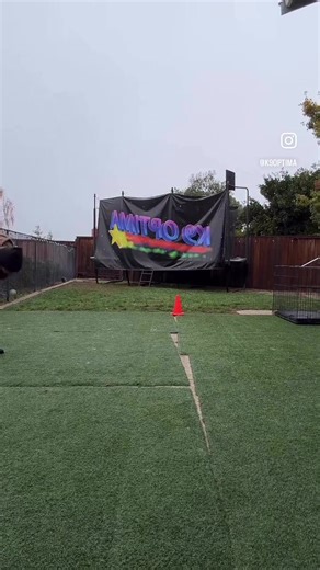 Fetch/Tug Combo #k9optima