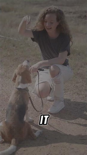 👉 Why Your Puppy Won’t Stop Biting (Fix This) #shorts