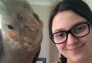 Estate mobilised in hunt for wolf-whistling parrot