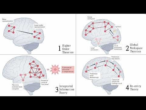 Presentation by Kallum Robinson on Theories of consciousness, Seth & Bayne 2022 Nat Rev Neuroscience