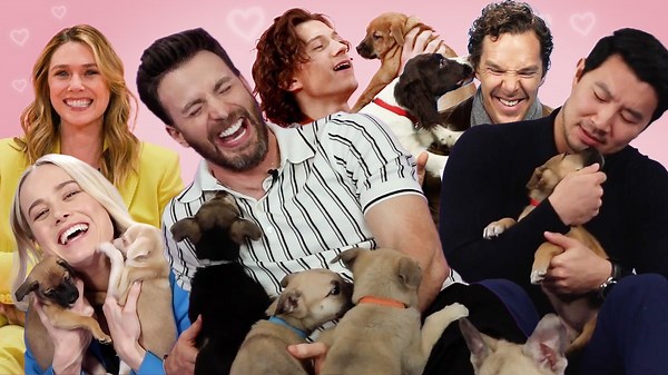 Only True Marvel Fans Will Enjoy These Puppy Interviews. Check out Marvel Heroes Marathon where your favorite superheroes play with adorable puppies and kittens