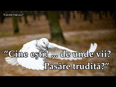”Cine eşti? ... de unde vii, pasăre trudită?” cântare creștină 2026