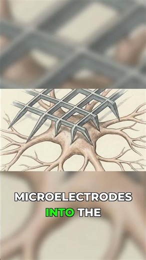 Neuroengineering's Flaw: Brain Bandwidth Limits!