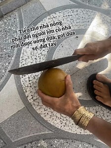 Chặt dừa an toàn cho tiểu thơ nhà nông