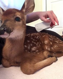 Follow us IG ➡ @amazingcreations143 https://www.instagram.com/amazingcreations143/ | Amazing Creation