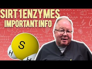Sirt 1 Enzymes: Important Information