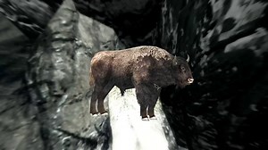 (ESL) Wild Bison (and Repopulate Skyrim with Bison) SE