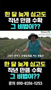 [한국농수산TV] 한 달 늦게 심고도 작년만큼 수확했어요!! 엽면시비 농법의 승리