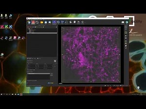 CIF Tutorial | Imaris : Manual filament tracing and soma import from Surface